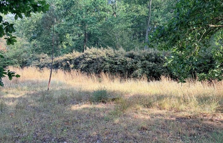 votre maison de 100m2 sur un terrain de 450m2 sur la commune de Le Taillan-Médoc au prix de 385000&euro; avec Alpha Constructions